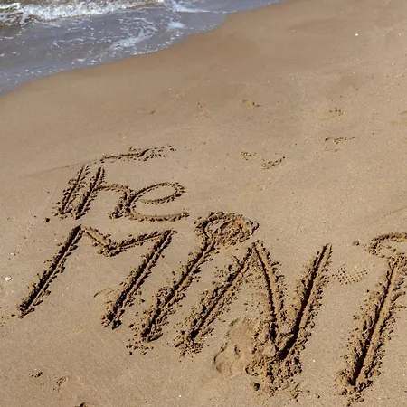 The Mini *